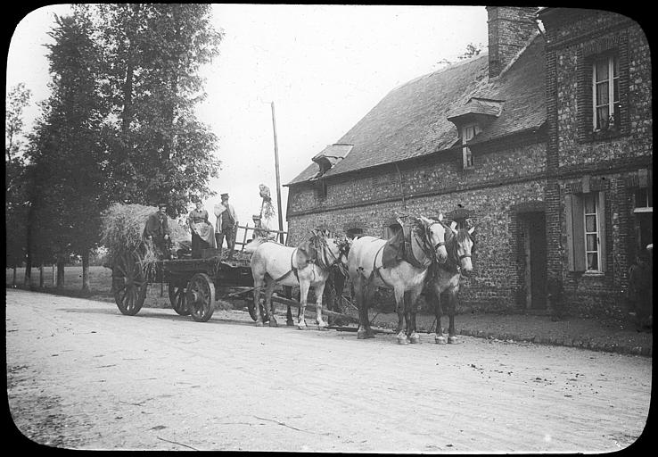 Attelage pour la fête des moissonneuses