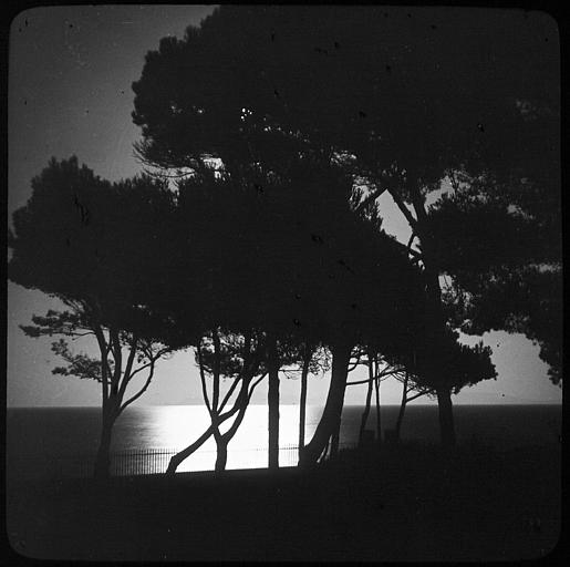 Lever de lune sur la rade d'Hyères, pris de la villa Sant'Estello