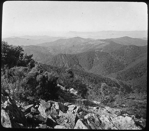 Vue sur l'intérieur du massif des Maures, sommet de la Sauvette
