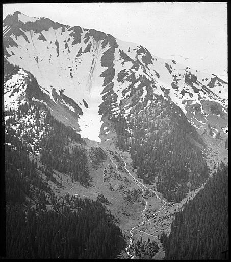 Couloir d'avalanche