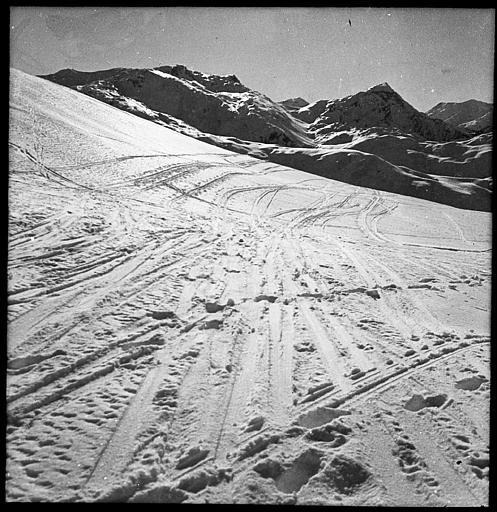 Traces de ski dans la neige