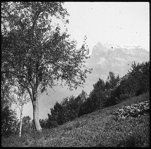 Les aiguilles de Varens