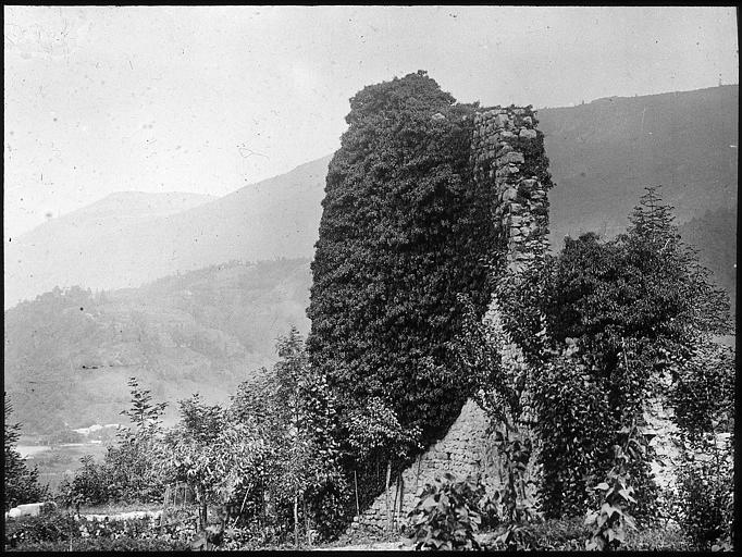 Ruines du château des seigneurs d'Aiguebelette