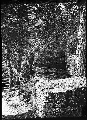 La forêt au Mont Sainte-Odile