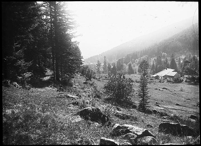 Prairies et forêts sur les hauteurs dominant Gérardmer