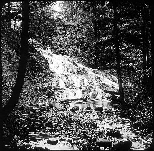 Cascade en sous-bois