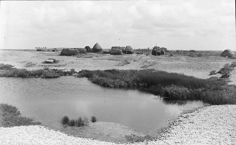 Meules de foin en bord de mer