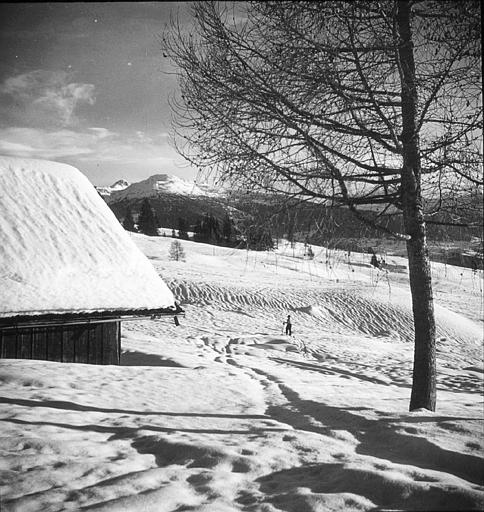 Chalet et paysage sous la neige