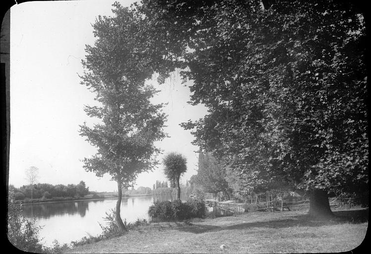 Berges de l'étang de la Grenouillère dans la forêt de Rambouillet