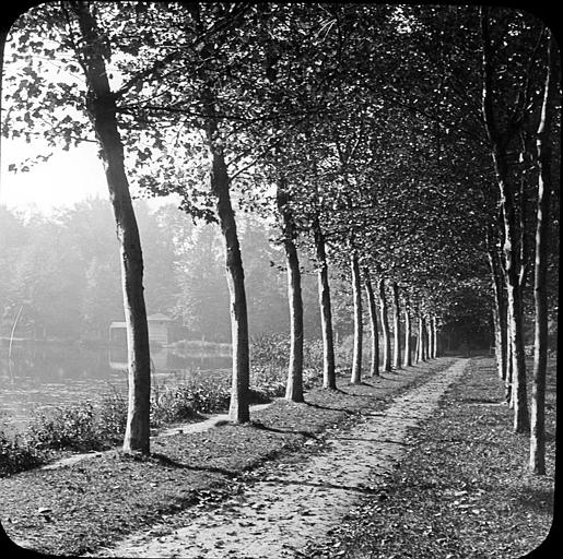 Chemin sur les bords de l'Yvette en automne