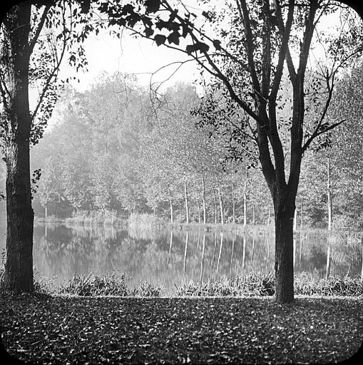 Les bords de l'Yvette en automne