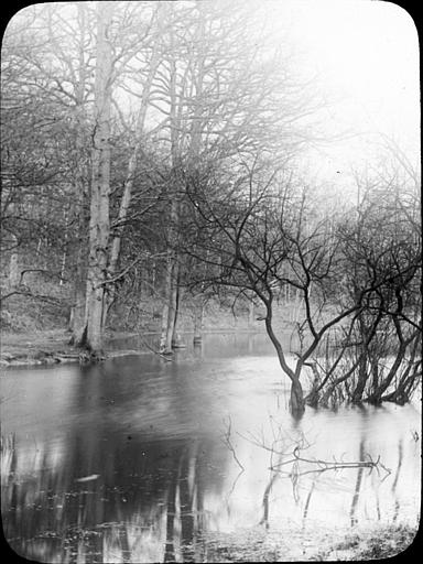 Etang de Villebon dans la forêt de Meudon