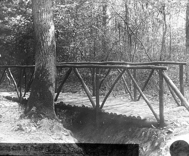 Ponceau sur un sentier dans la forêt de Meudon