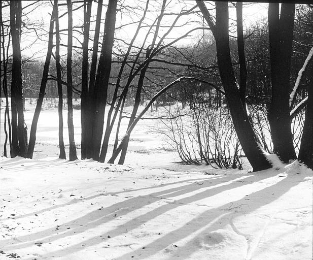 L'étang de Villebon sous la neige, dans la forêt de Meudon