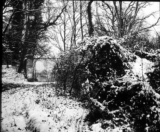 Dans le parc de l'observatoire, lianes de houblon sous la neige