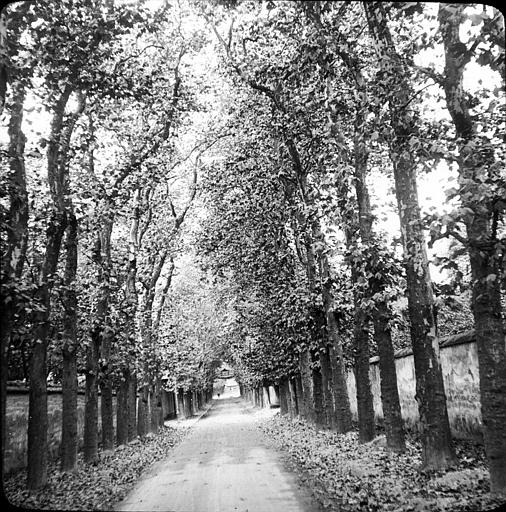 Perspective de l'avenue du château