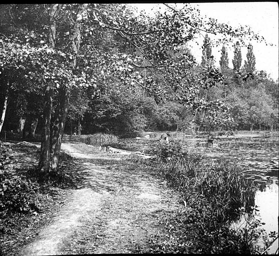 Chemin bordant l'étang de Saint-Cucufa