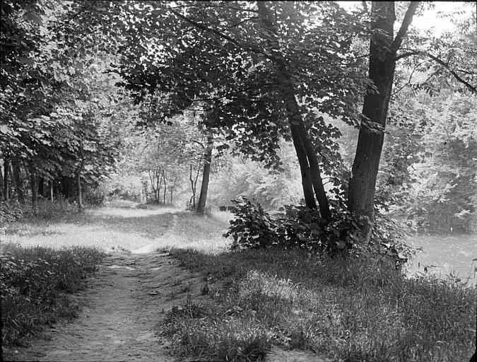 Chemin bordant l'étang de Saint-Cucufa