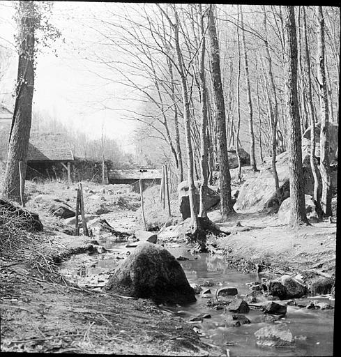 Abords de l'étang de Saint-Cucufa