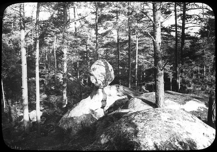 Forêt de Fontainebleau, le Bilboquet du Diable