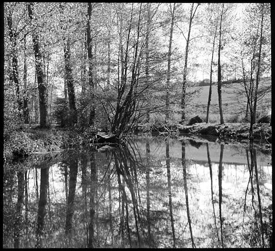 Les bords du Grand Morin