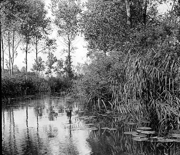 Les bords du Loing