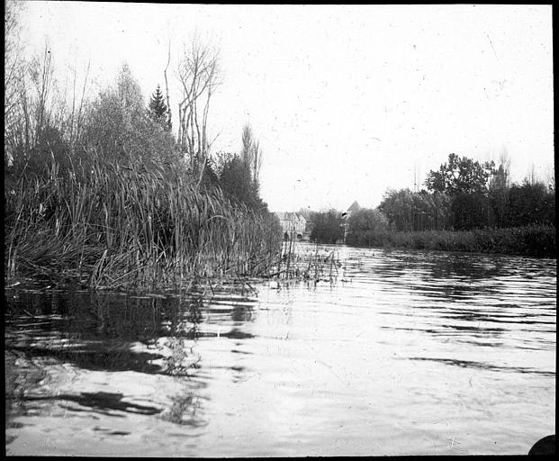 Les bords du Loing
