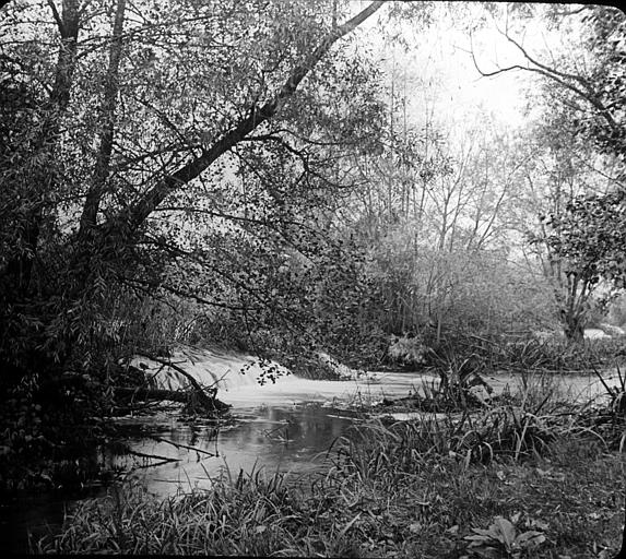 Les bords du Loing