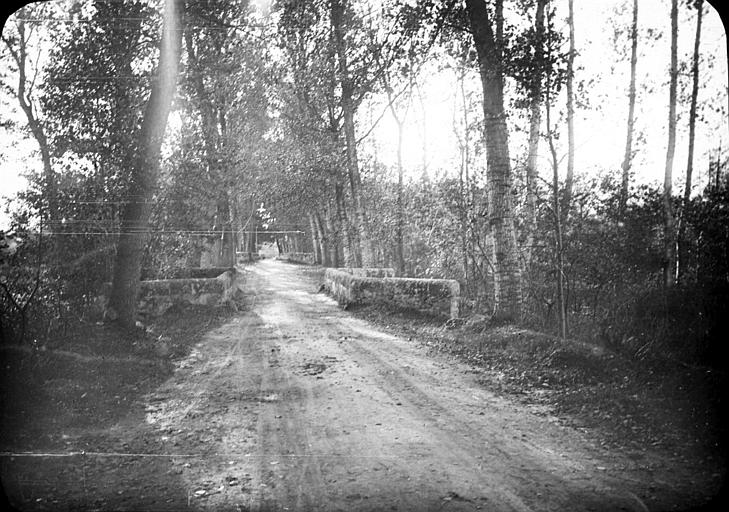Petite route champêtre