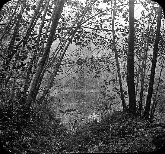 Les marnières