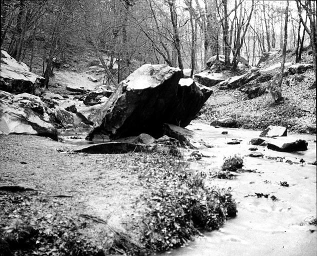Ruisseau en sous-bois dans les Vaux de Cernay