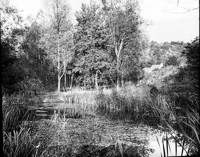 Etang du moulin des Vaux de Cernay