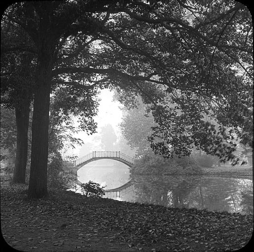 Passerelle sur le lac
