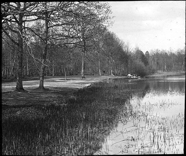 Forêt de Rambouillet : l'étang du Moulinet