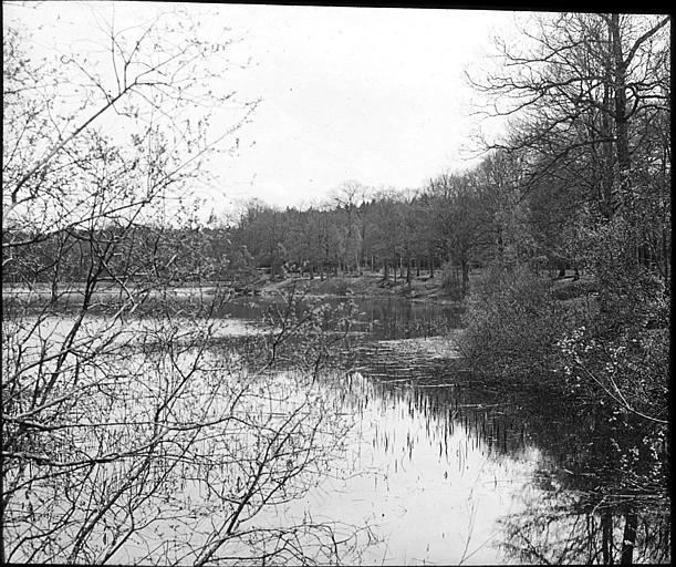 Forêt de Rambouillet : l'étang Coupe Gorge