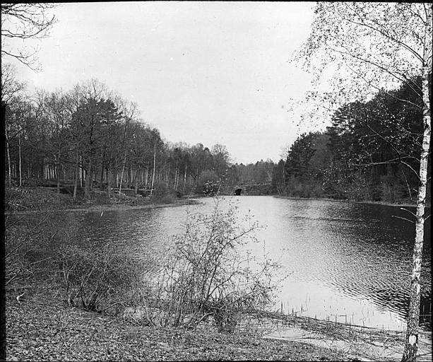 Forêt de Rambouillet : l'étang Coupe Gorge