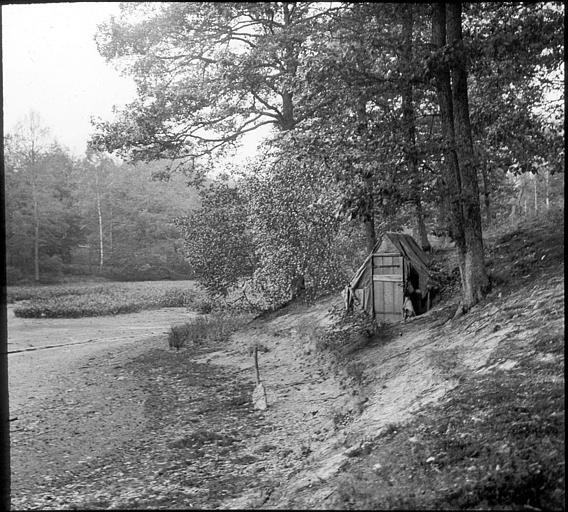 Cabane de planches dans la forêt de Rambouillet