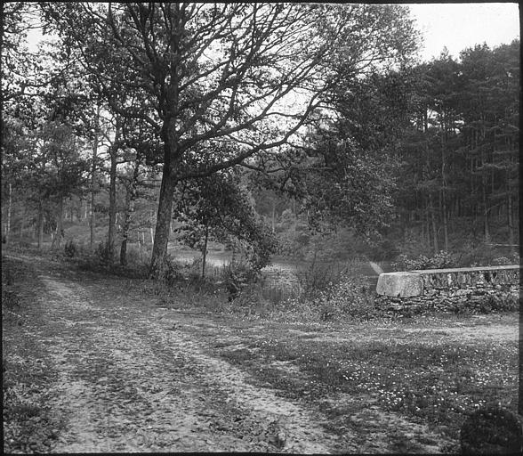 Sentier au bord de l'eau de Rambouillet