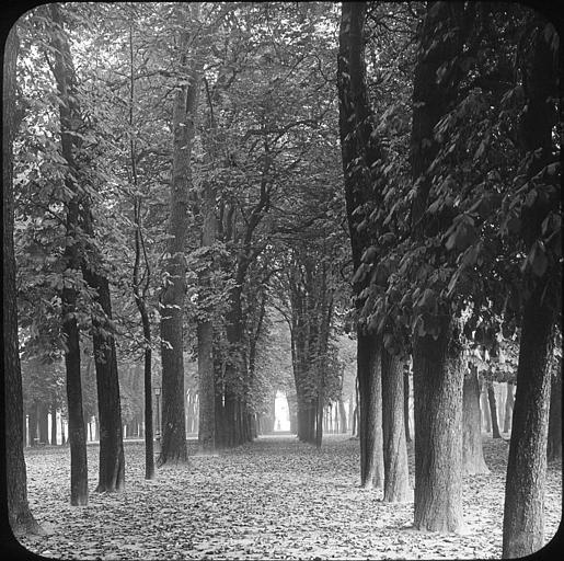 Une allée du parterre