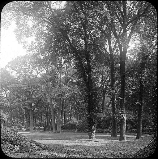 Un coin du parterre