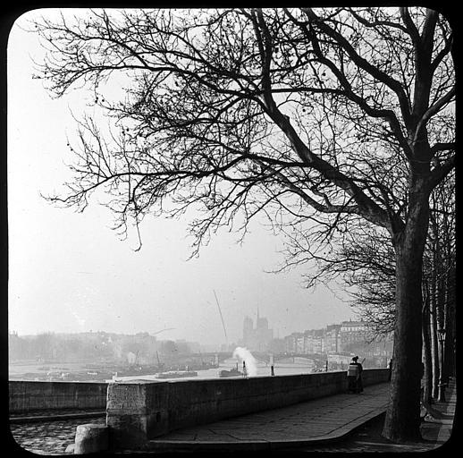 La Seine et Notre-Dame vues du boulevard Morland