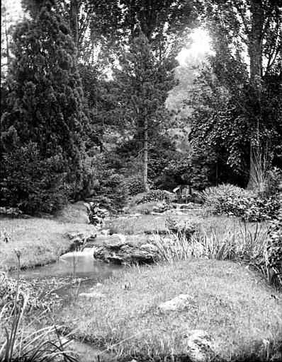 Un ruisseau dans le bois de Vincennes