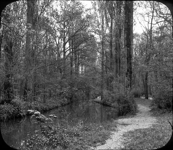 Sentier longeant le ruisseau Daumesnil, bois de Vincennes