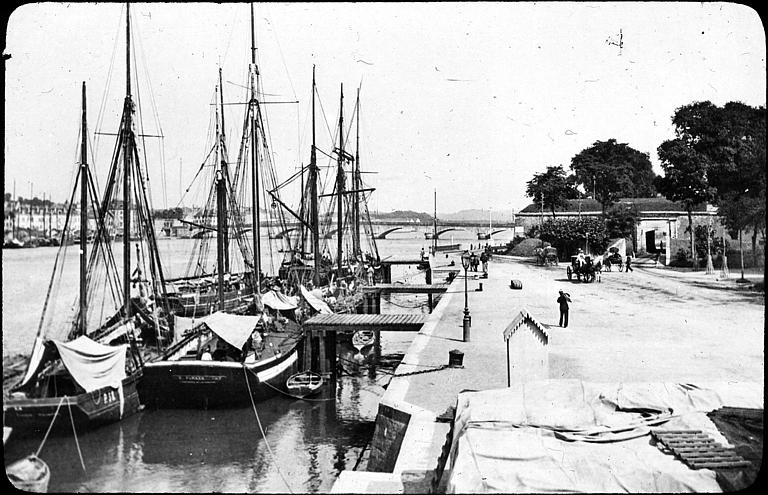 Voiliers à l'amarre