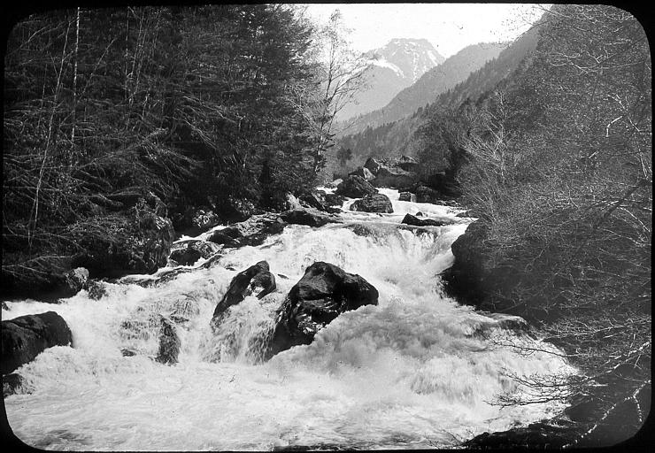 Torrent