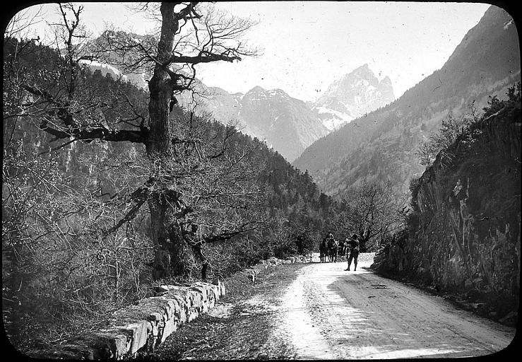 Attelage de chevaux sur la route, pic du Midi d'Ossau