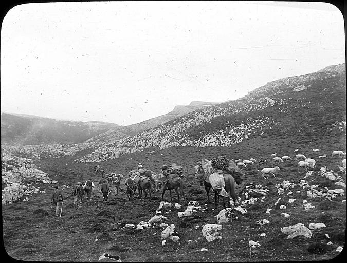 Convoi de mulets dans une vallée assèchée, plateau d'Orion (1140 m)