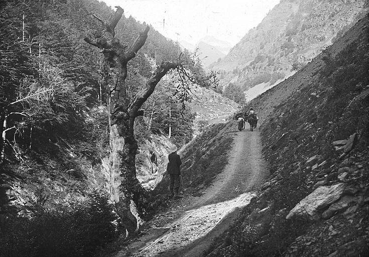 Randonneurs à cheval au val de Couplan