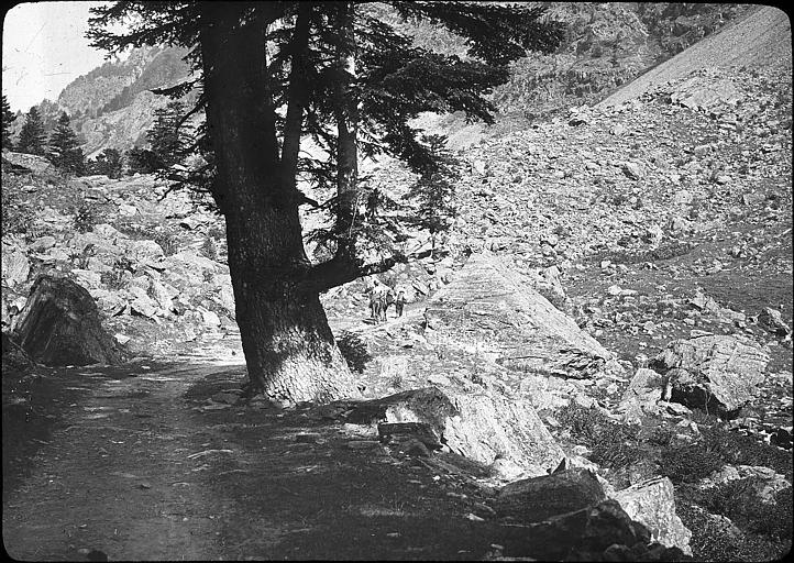 Randonneurs à cheval au val de Couplan