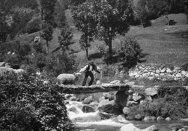 Plateau de Cambasque, troupeau de moutons passant le torrent sur une passerelle